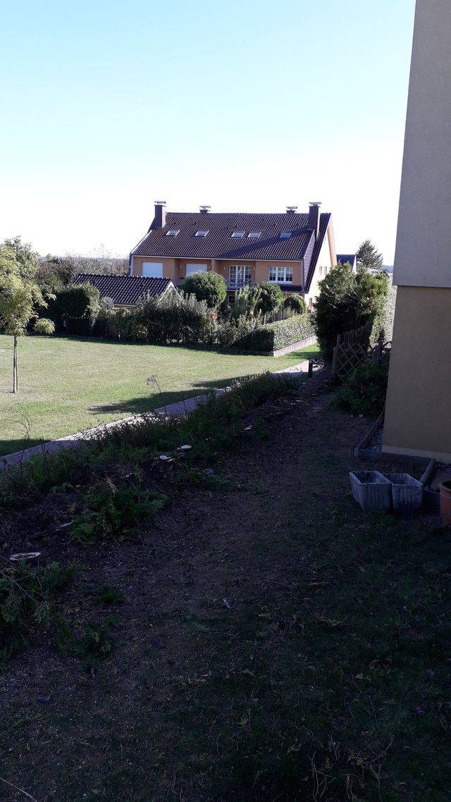 dessouchage