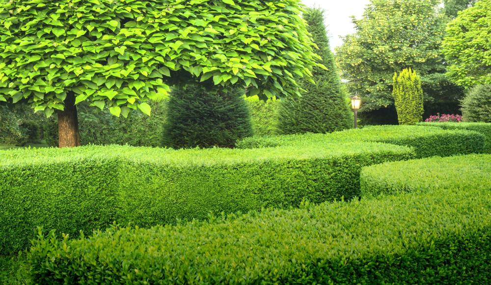 aménagement jardin
