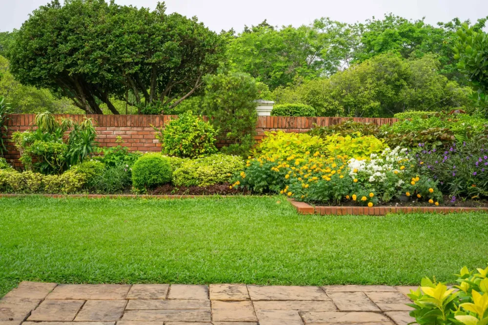 Entretien parc et jardin près de Écouflant